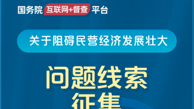 日b小姑娘国务院“互联网+督查”平台公开征集阻碍民营经济发展壮大问题线索